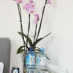 Apartamento Targ Rybny Luxon